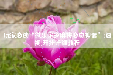 玩家必读“微乐家乡麻将必赢神器	”(透视)开挂详细教程