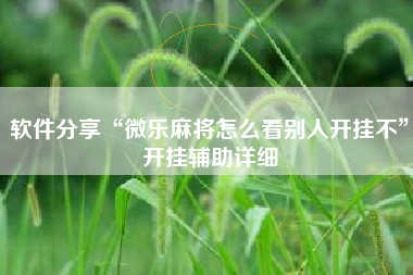 软件分享“微乐麻将怎么看别人开挂不	”开挂辅助详细