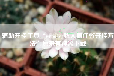 辅助开挂工具“wepoker私人局作弊开挂方法”原来有神器下载