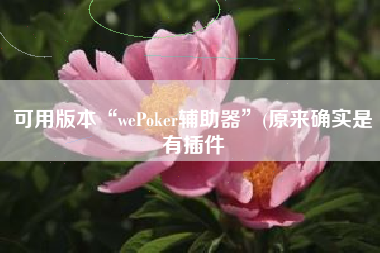 可用版本“wePoker辅助器”(原来确实是有插件