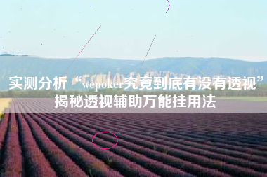 实测分析“wepoker究竟到底有没有透视”揭秘透视辅助万能挂用法