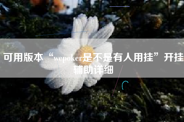 可用版本“wepoker是不是有人用挂”开挂辅助详细