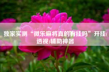 独家实测“微乐麻将真的有挂吗”开挂(透视)辅助神器