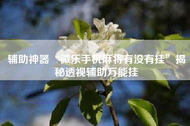 辅助神器“微乐手机麻将有没有挂	”揭秘透视辅助万能挂