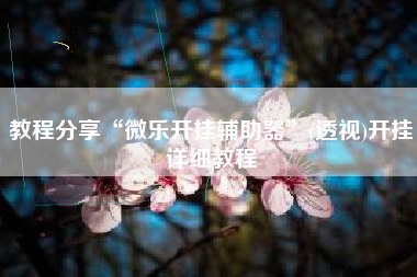 教程分享“微乐开挂辅助器”(透视)开挂详细教程