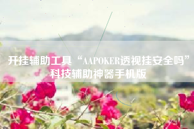 开挂辅助工具“AAPOKER透视挂安全吗”科技辅助神器手机版