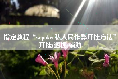 指定教程“wepoker私人局作弊开挂方法	”开挂(透视)辅助
