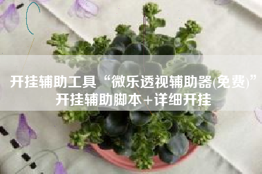 开挂辅助工具“微乐透视辅助器(免费)”开挂辅助脚本+详细开挂