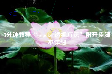 3分钟教程“wepoker透视方法	”附开挂脚本详细