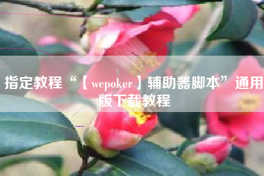 指定教程“【wepoker】辅助器脚本	”通用版下载教程
