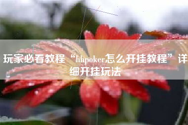 玩家必看教程“hhpoker怎么开挂教程	”详细开挂玩法