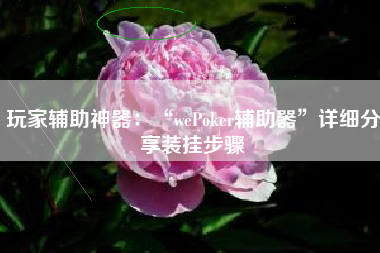 玩家辅助神器：“wePoker辅助器”详细分享装挂步骤