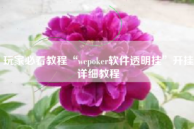 玩家必看教程“wepoker软件透明挂	”开挂详细教程