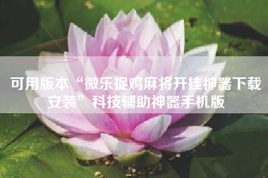 可用版本“微乐捉鸡麻将开挂神器下载安装	”科技辅助神器手机版