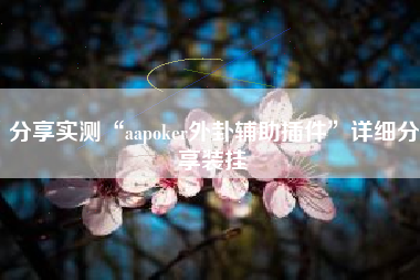 分享实测“aapoker外卦辅助插件”详细分享装挂