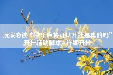 玩家必读“微乐麻将可以开挂是真的吗”开挂辅助脚本+详细开挂