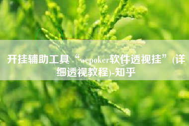 开挂辅助工具“wepoker软件透视挂	”(详细透视教程)-知乎