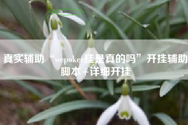 真实辅助“wepoker挂是真的吗	”开挂辅助脚本+详细开挂