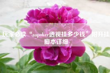 玩家必读“aapoker透视挂多少钱	”附开挂脚本详细