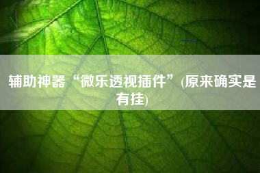 辅助神器“微乐透视插件”(原来确实是有挂)