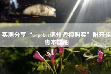 实测分享“wepoker德州透视购买	”附开挂脚本详细