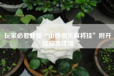 玩家必看教程“山西微乐麻将挂”附开挂脚本详细