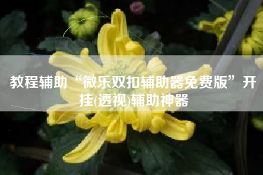 教程辅助“微乐双扣辅助器免费版”开挂(透视)辅助神器