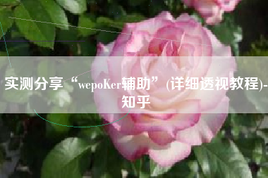 实测分享“wepoKer辅助	”(详细透视教程)-知乎