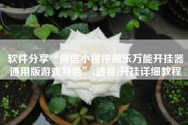 软件分享“微信小程序微乐万能开挂器通用版游戏特色”(透视)开挂详细教程