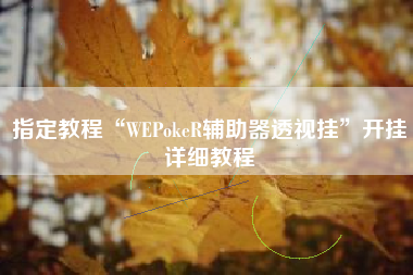 指定教程“WEPokeR辅助器透视挂	”开挂详细教程