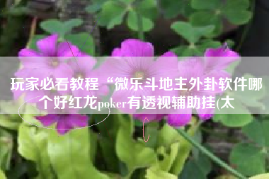 玩家必看教程“微乐斗地主外卦软件哪个好红龙poker有透视辅助挂(太
