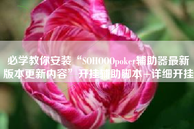 必学教你安装“SOHOOOpoker辅助器最新版本更新内容”开挂辅助脚本+详细开挂