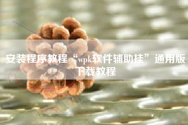 安装程序教程“wpk软件辅助挂	”通用版下载教程