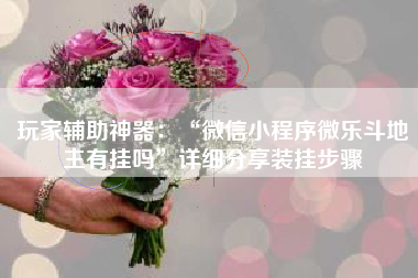 玩家辅助神器：“微信小程序微乐斗地主有挂吗	”详细分享装挂步骤