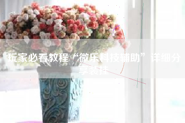 玩家必看教程“微乐科技辅助”详细分享装挂