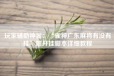 玩家辅助神器：“雀神广东麻将有没有挂”附开挂脚本详细教程