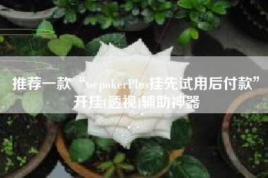 推荐一款“wepokerPlus挂先试用后付款	”开挂(透视)辅助神器