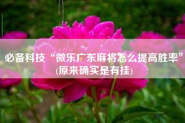 必备科技“微乐广东麻将怎么提高胜率	”(原来确实是有挂)