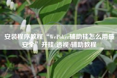 安装程序教程“WePoker辅助挂怎么用最安全”开挂(透视)辅助教程