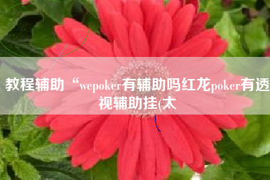 教程辅助“wepoker有辅助吗红龙poker有透视辅助挂(太