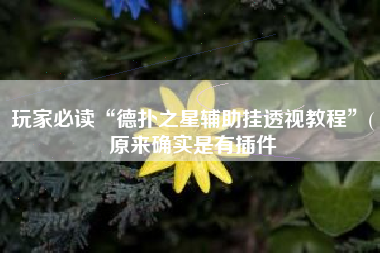 玩家必读“德扑之星辅助挂透视教程”(原来确实是有插件