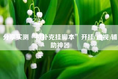 分享实测“微扑克挂脚本”开挂(透视)辅助神器