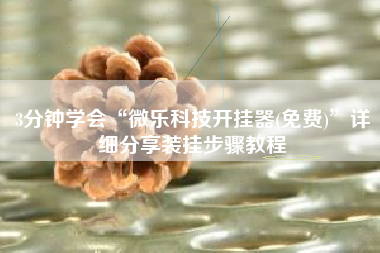 3分钟学会“微乐科技开挂器(免费)	”详细分享装挂步骤教程