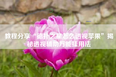 教程分享“德扑之星怎么透视苹果”揭秘透视辅助万能挂用法