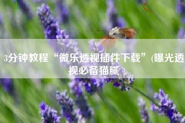 3分钟教程“微乐透视插件下载”(曝光透视必备猫腻