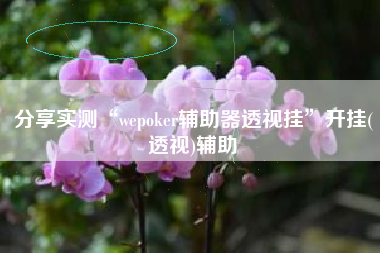 分享实测“wepoker辅助器透视挂”开挂(透视)辅助