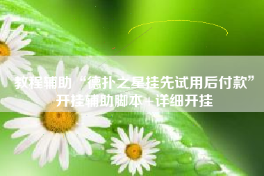 教程辅助“德扑之星挂先试用后付款”开挂辅助脚本+详细开挂