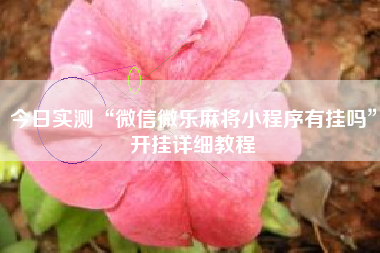 今日实测“微信微乐麻将小程序有挂吗”开挂详细教程