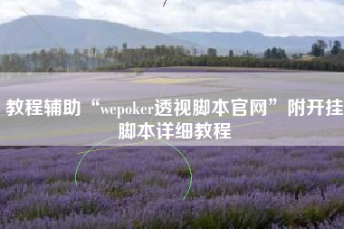 教程辅助“wepoker透视脚本官网”附开挂脚本详细教程