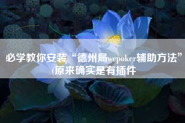必学教你安装“德州局wepoker辅助方法”(原来确实是有插件